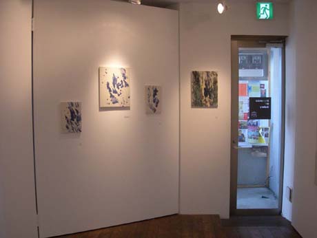 展示風景１