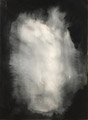 phenomenon  45.5×33.3cm