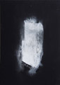 phenomenon 　27.3×19.0cm