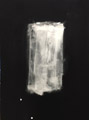 translucent    91.0×65.2cm