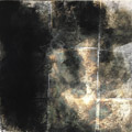 metamorphism　30.0×30.0cm
