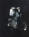metamorphism   18.0×14.0cm